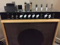 Finished Amp 1.JPG
