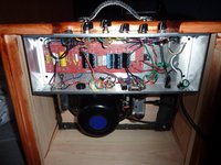 Tramp Guts Smaller.jpg